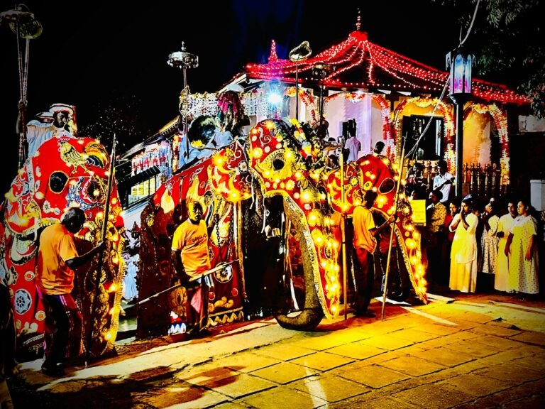 WhatsApp Image 2024-07-20 at 21.38